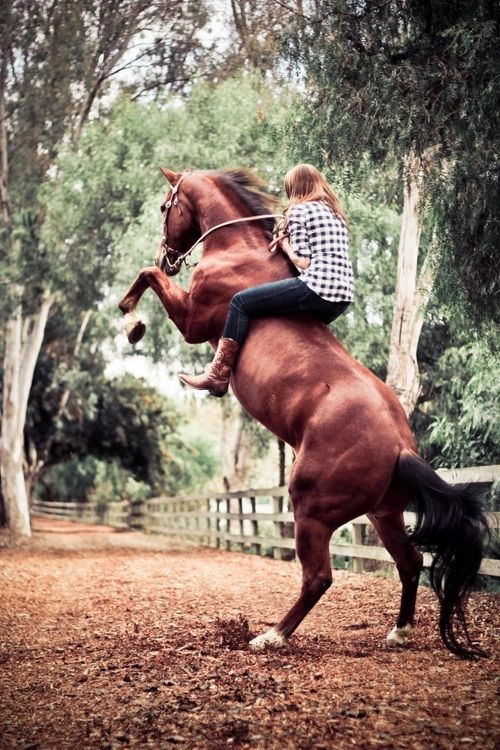 Cómo superar esa sensación de “miedo” al andar a caballo